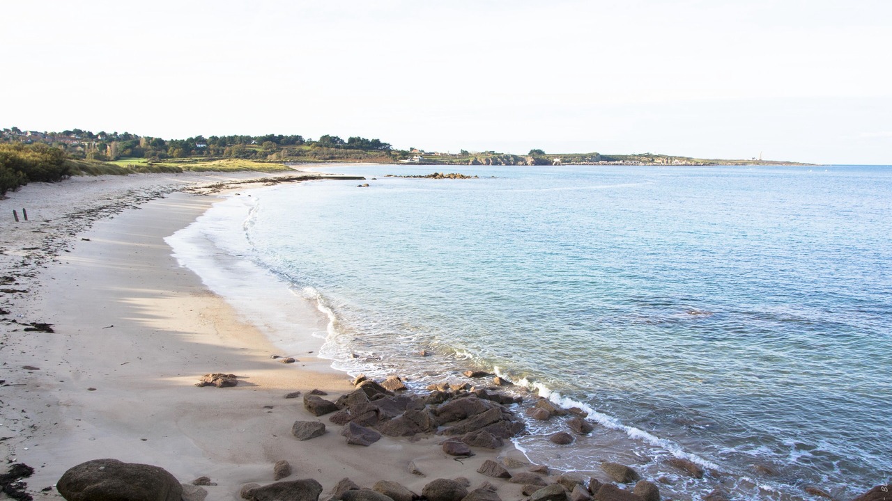 Photo of Others in Vicq-sur-Mer