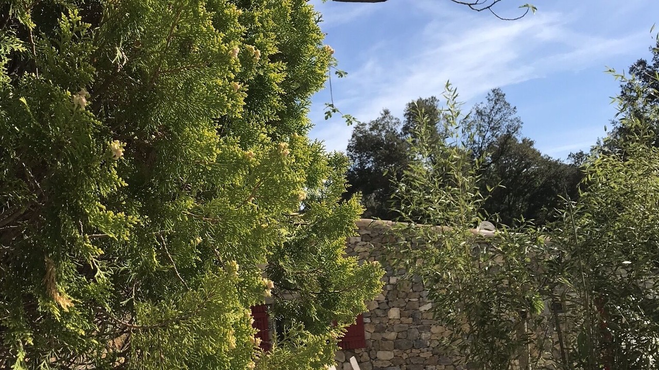 Photo of Outdoor in Saint-Julien-de-la-Nef