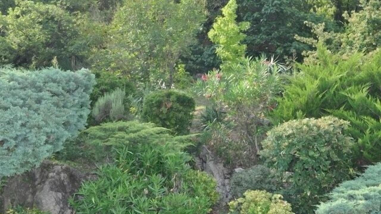 Photo of Outdoor in Saint-Julien-de-la-Nef