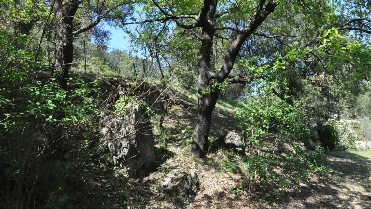 Photo of Outdoor in Saint-Julien-de-la-Nef