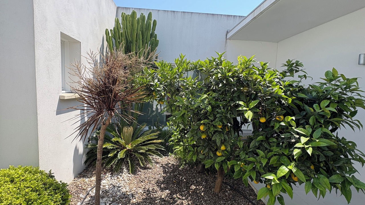 Photo of Outdoor in Saint-Florent