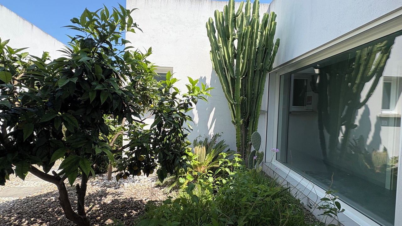 Photo of Outdoor in Saint-Florent