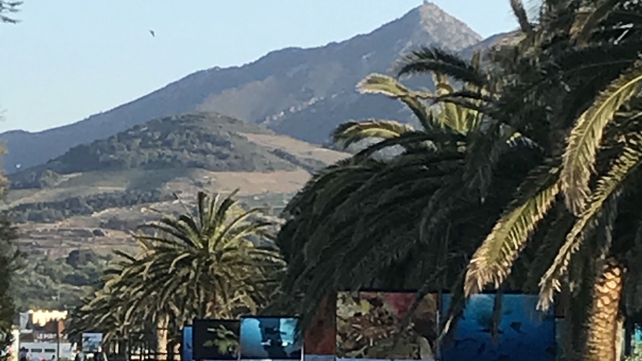 Photo of Others in Plage d'Argeles