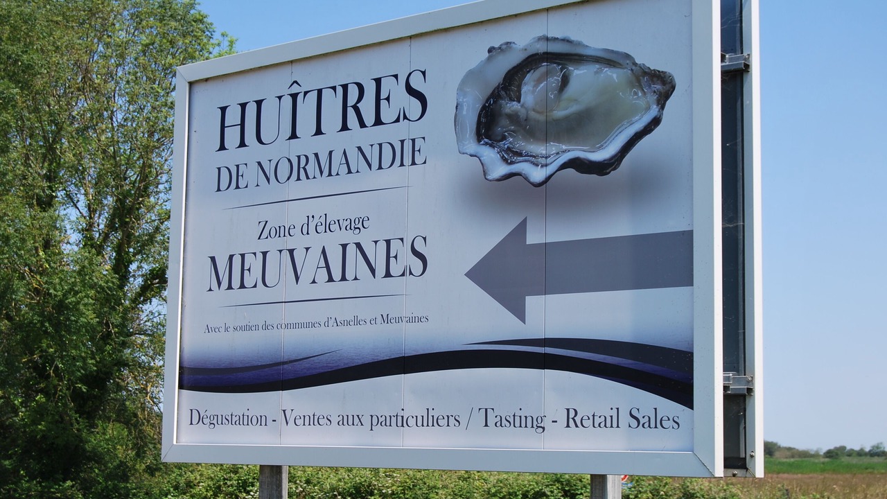 Photo of Outdoor in Asnelles