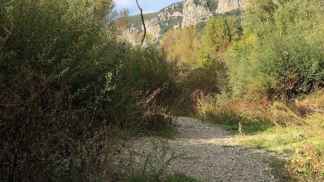 Photo of Outdoor in Saint-Bauzille-de-Putois