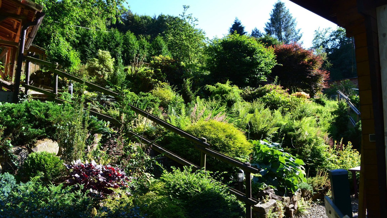 Photo of Outdoor in Le Hohwald