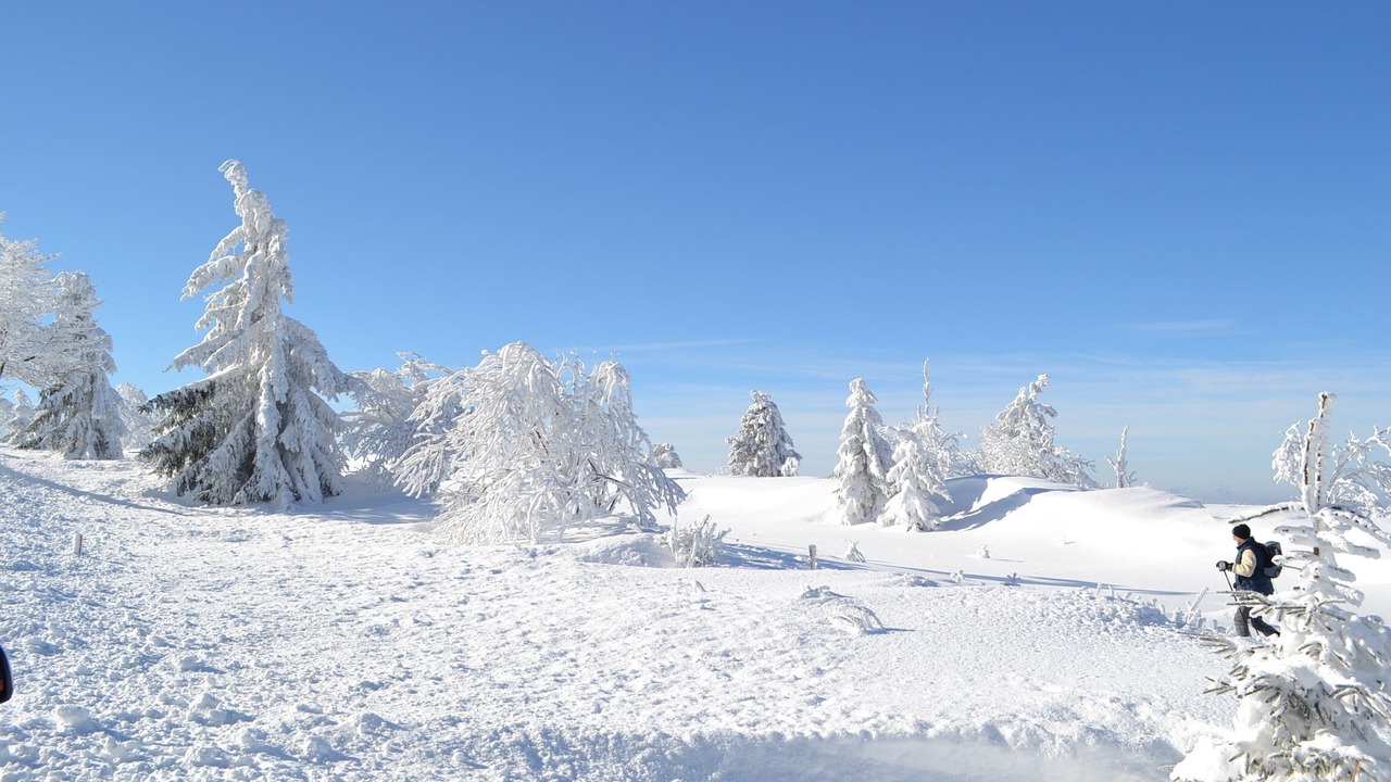 Photo of Others in Le Hohwald