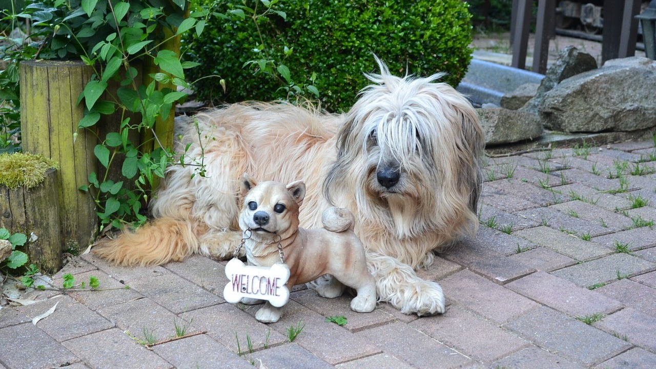Photo of Outdoor in Le Hohwald