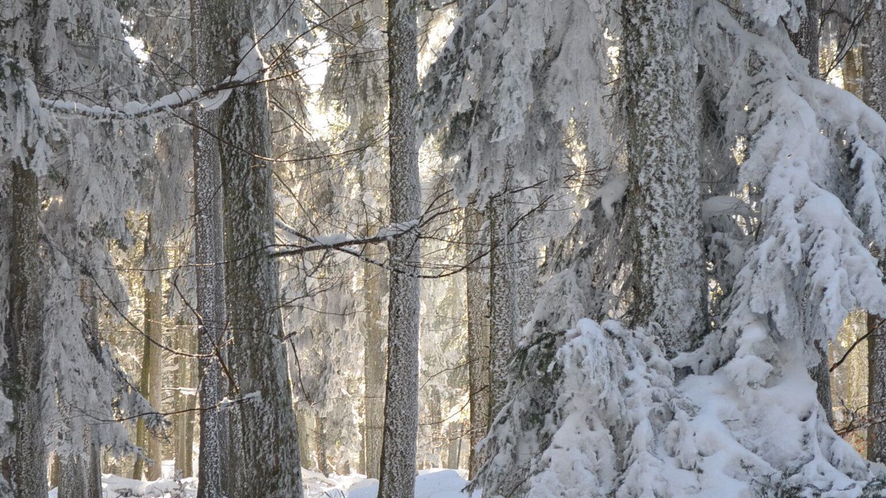 Photo of Outdoor in Le Hohwald