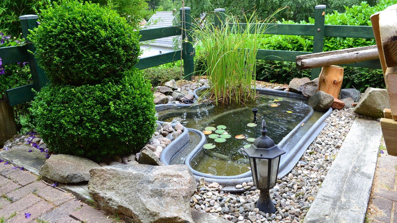 Photo of Outdoor in Le Hohwald