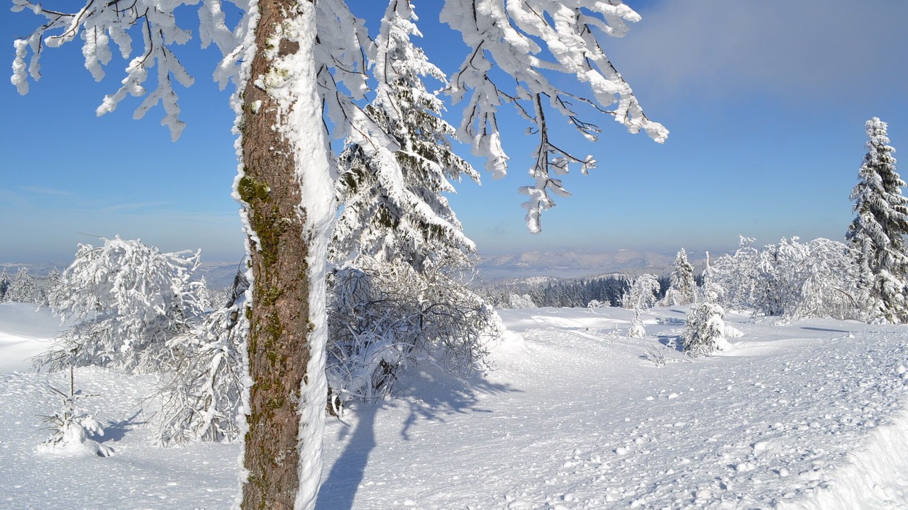 Photo of Others in Le Hohwald