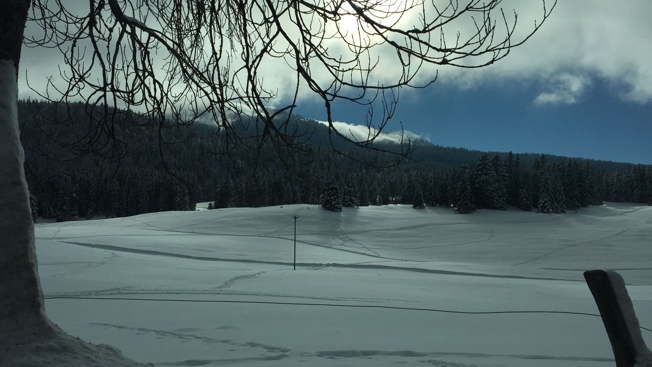 Photo of Others in Premanon