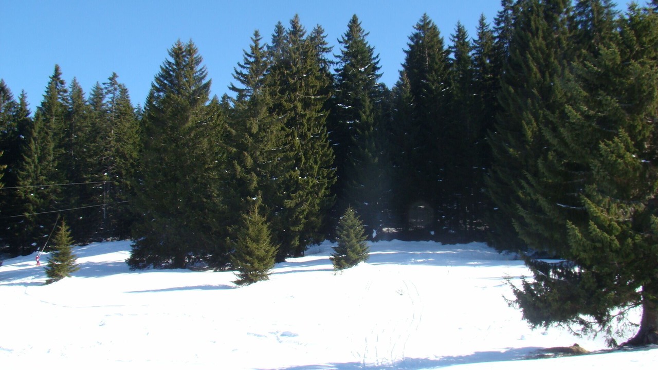 Photo of Others in Premanon