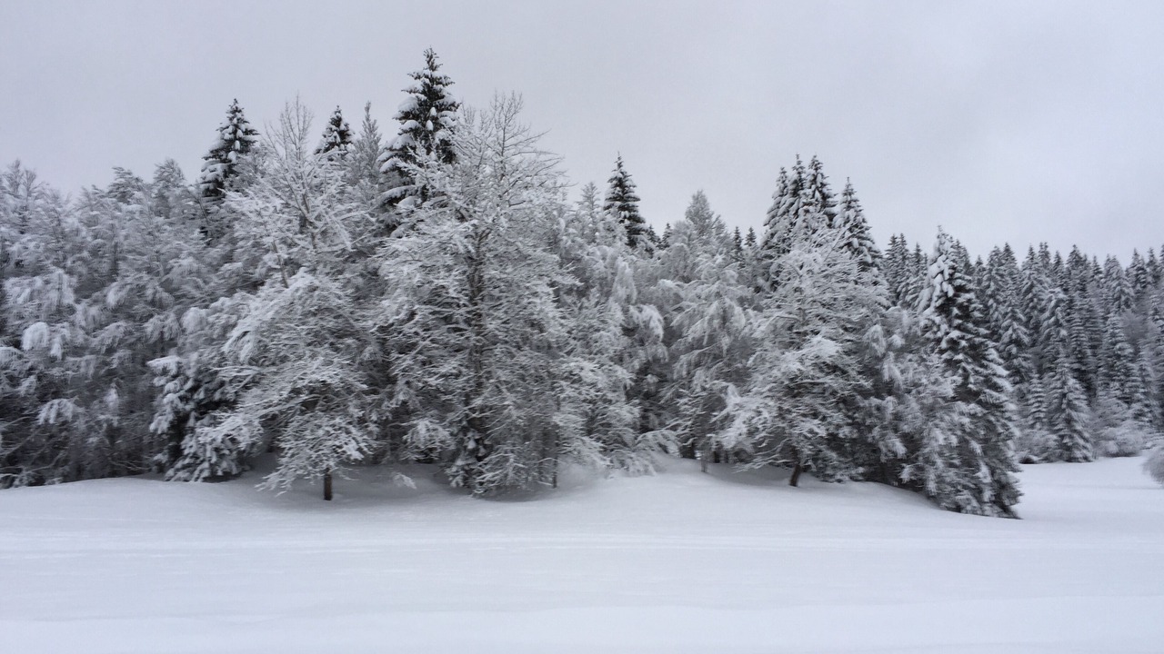 Photo of Others in Premanon