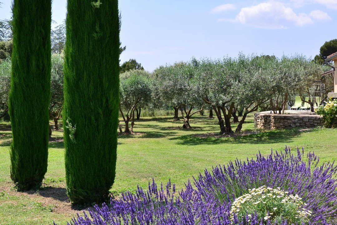 Photo of Outdoor in Apt