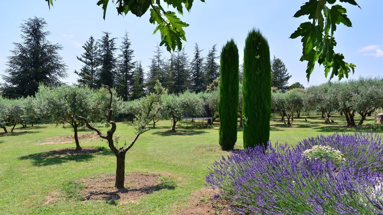 Photo of Outdoor in Apt