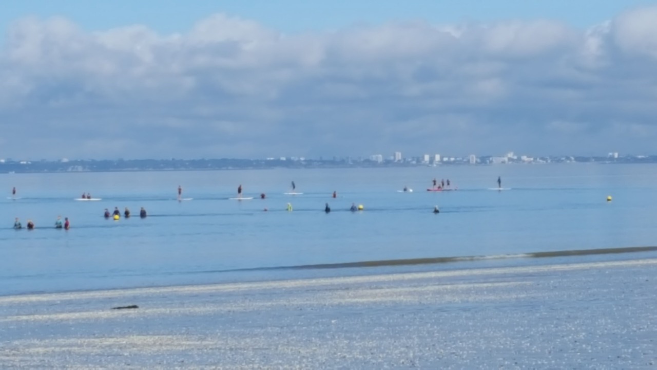 Photo of Others in Tharon-Plage