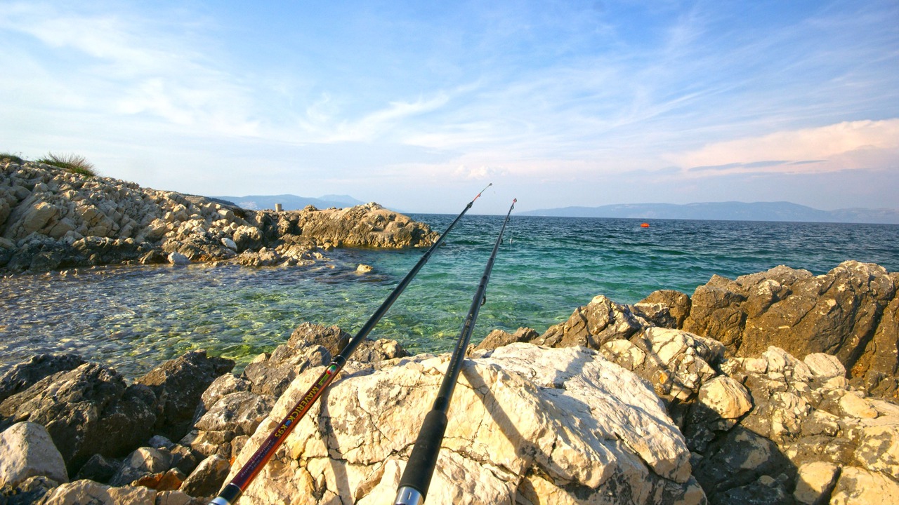 Photo of Others in Kapelica