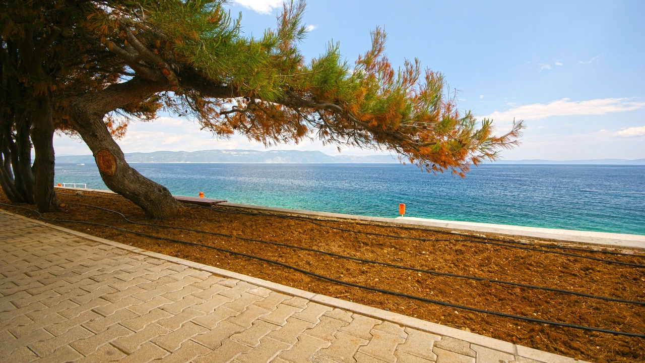 Photo of Others in Kapelica