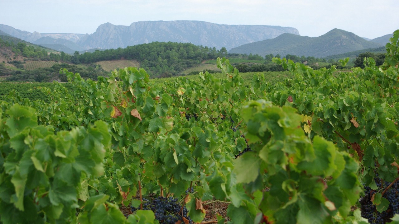 Photo of Outdoor in Ferrieres-Poussarou