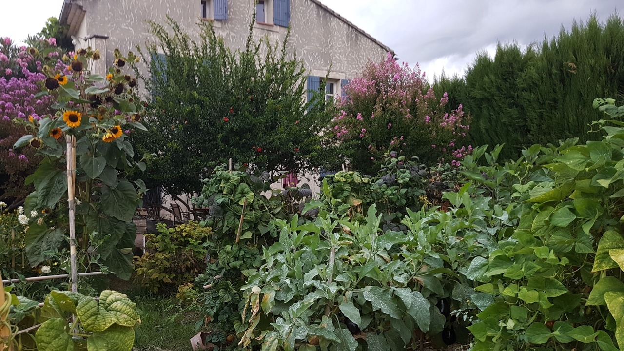 Photo of Outdoor in Vaison-la-Romaine