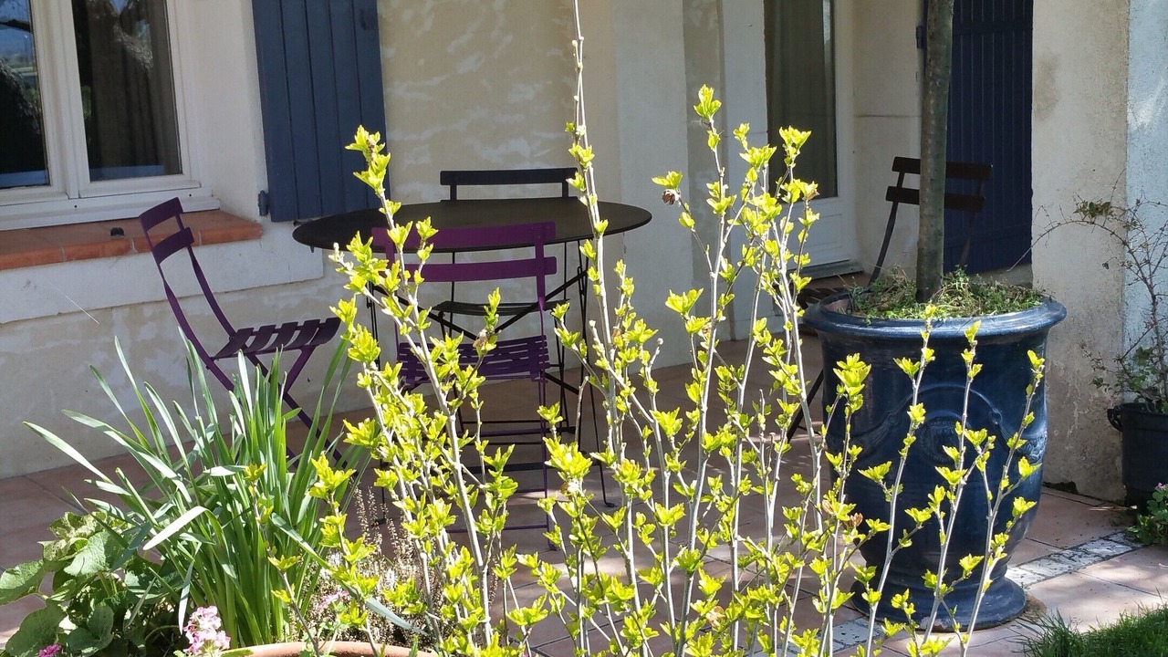 Photo of Outdoor in Vaison-la-Romaine
