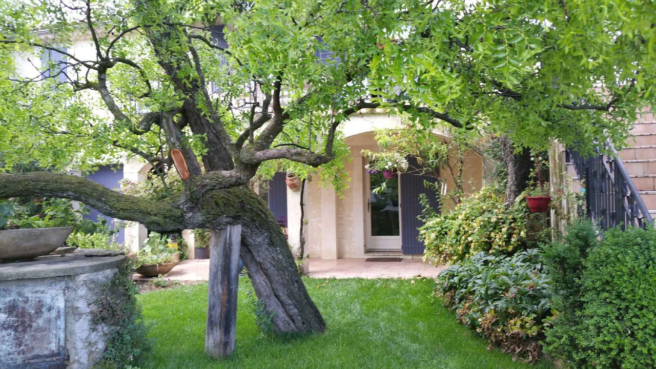 Photo of Outdoor in Vaison-la-Romaine