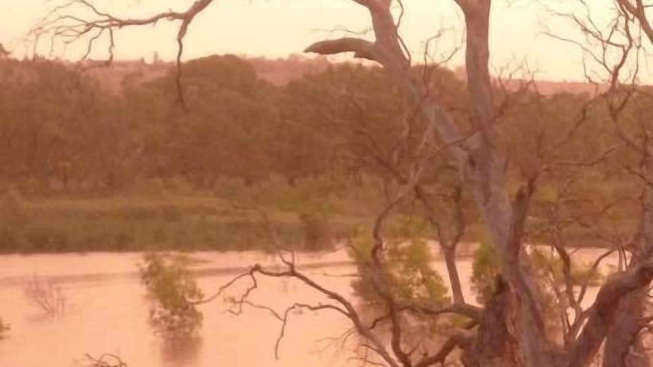 Photo of Others in Mannum