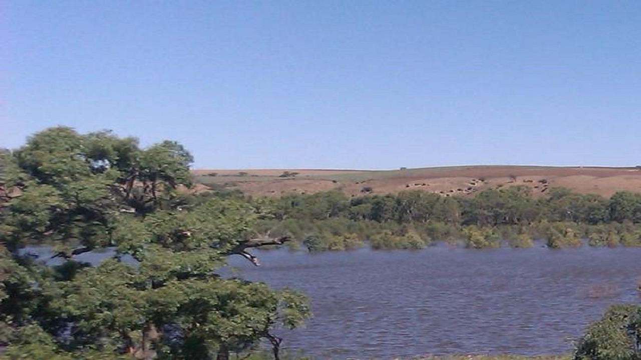 Photo of Others in Mannum