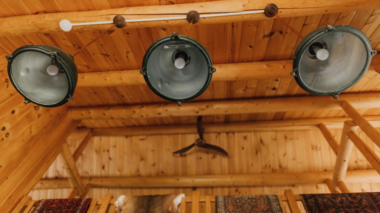 Photo of Others in Woodstock