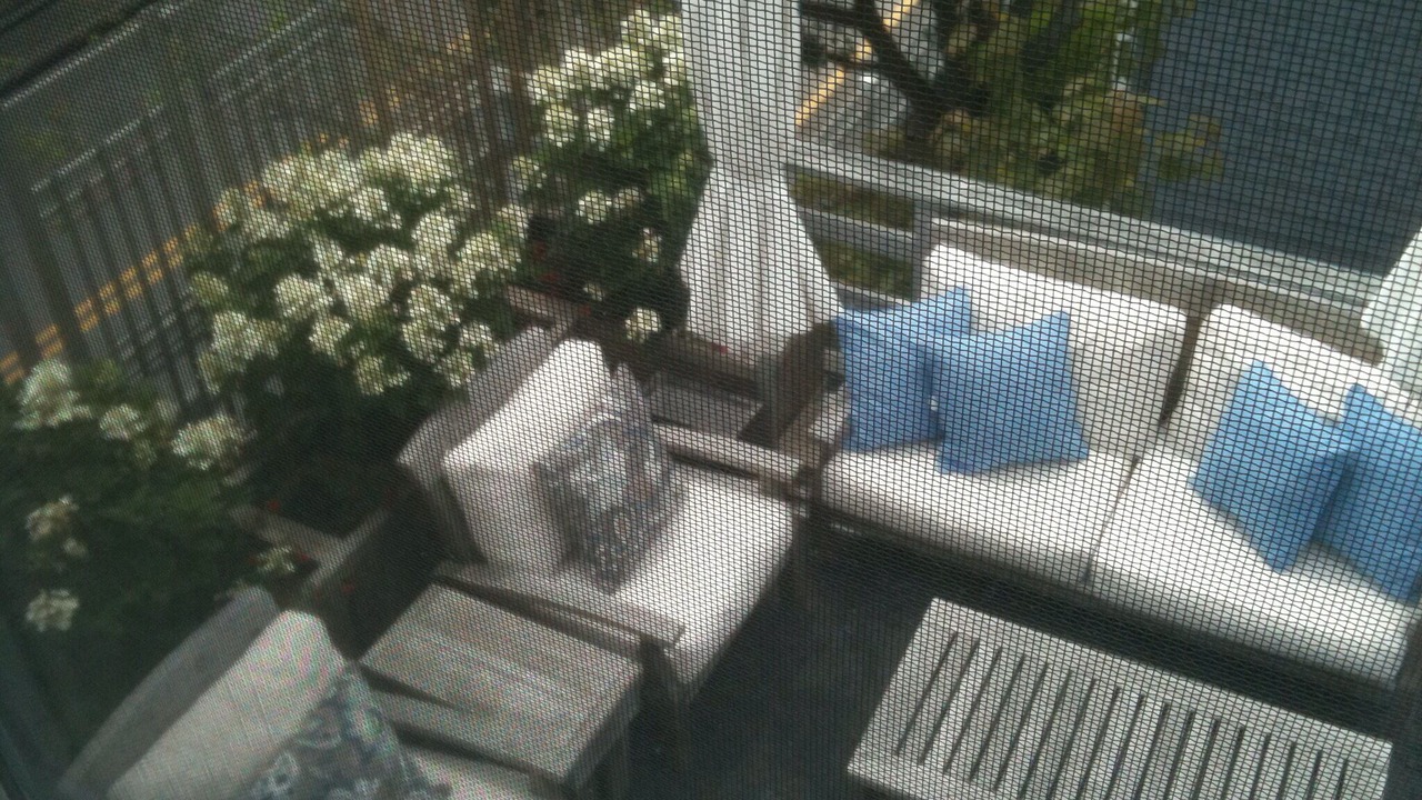 Photo of Outdoor in Provincetown