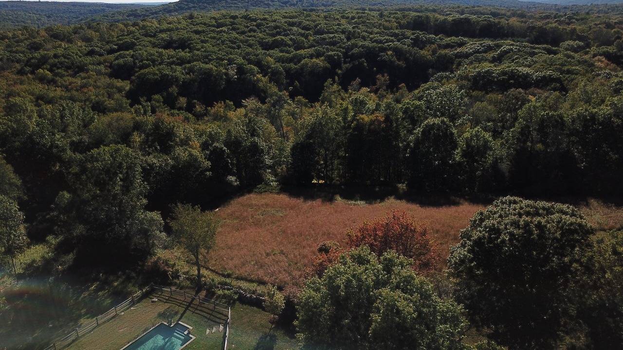 Photo of Others in Lakeside