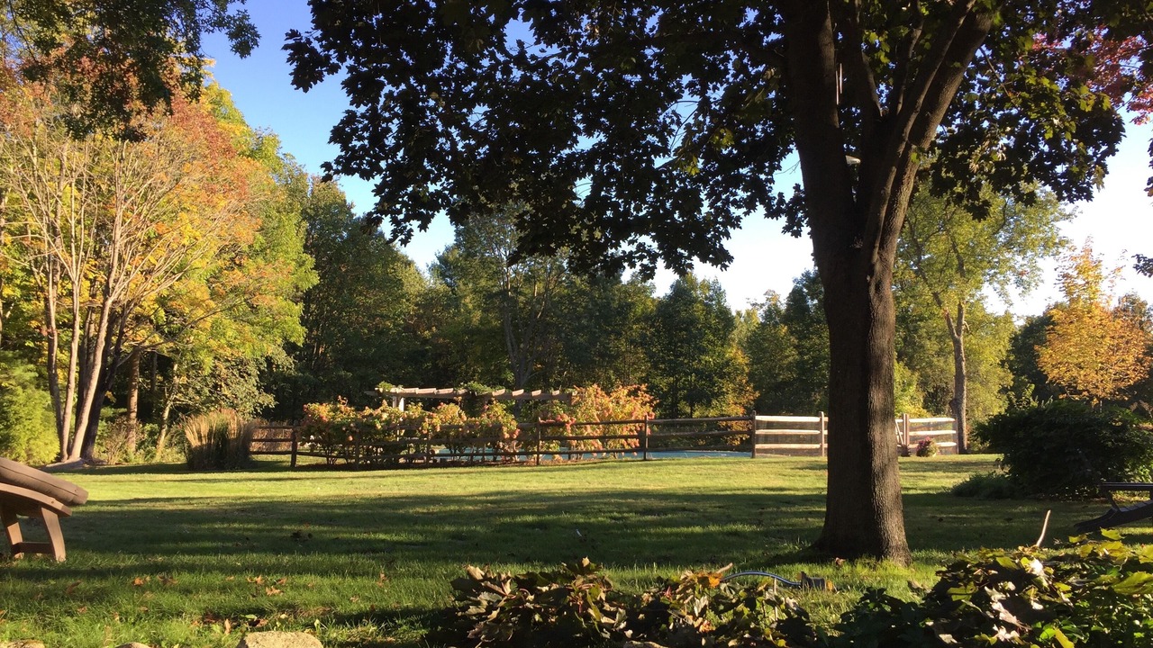 Photo of Outdoor in Lakeside