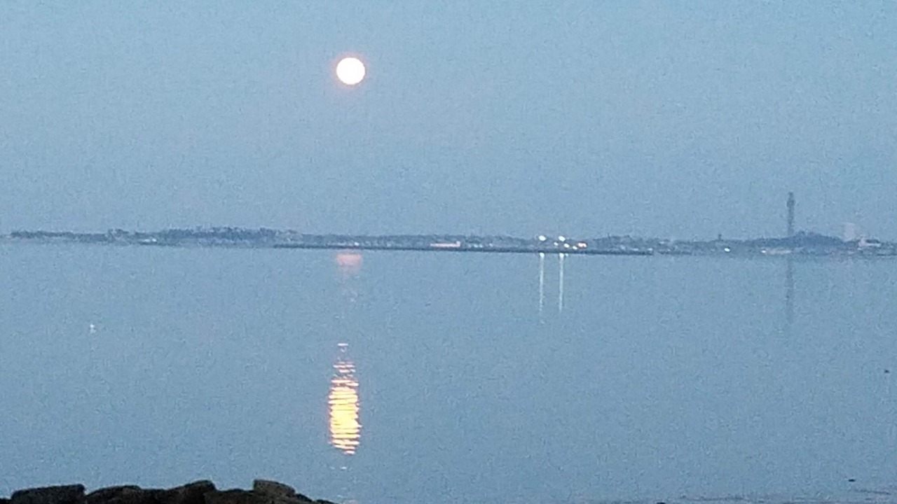 Photo of Others in North Truro
