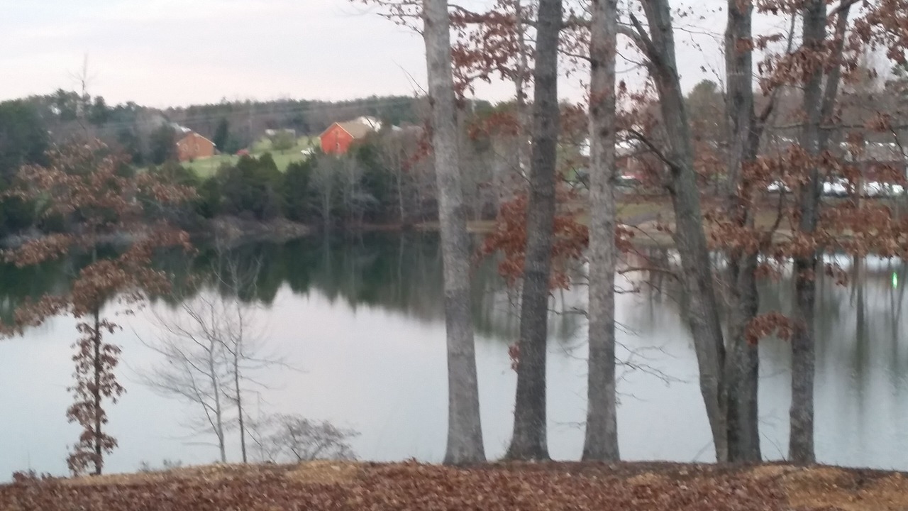 Photo of Outdoor in Glenora