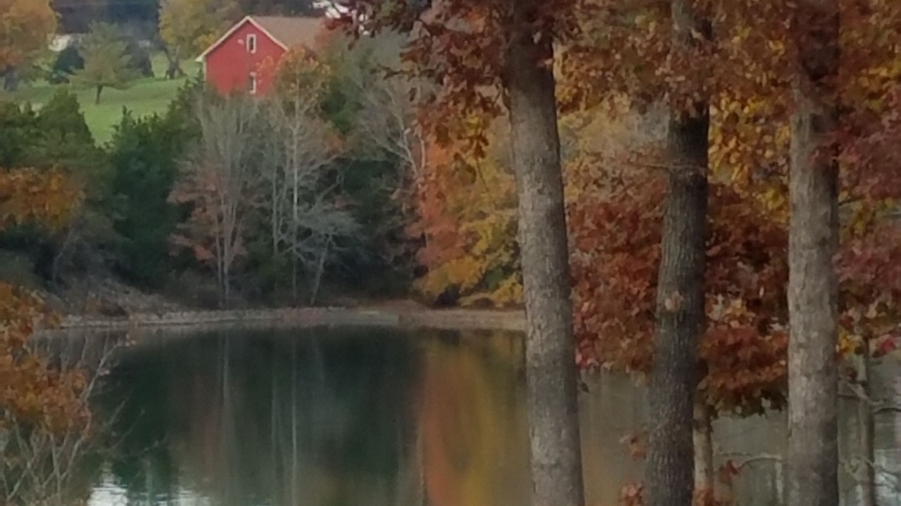 Photo of Outdoor in Glenora