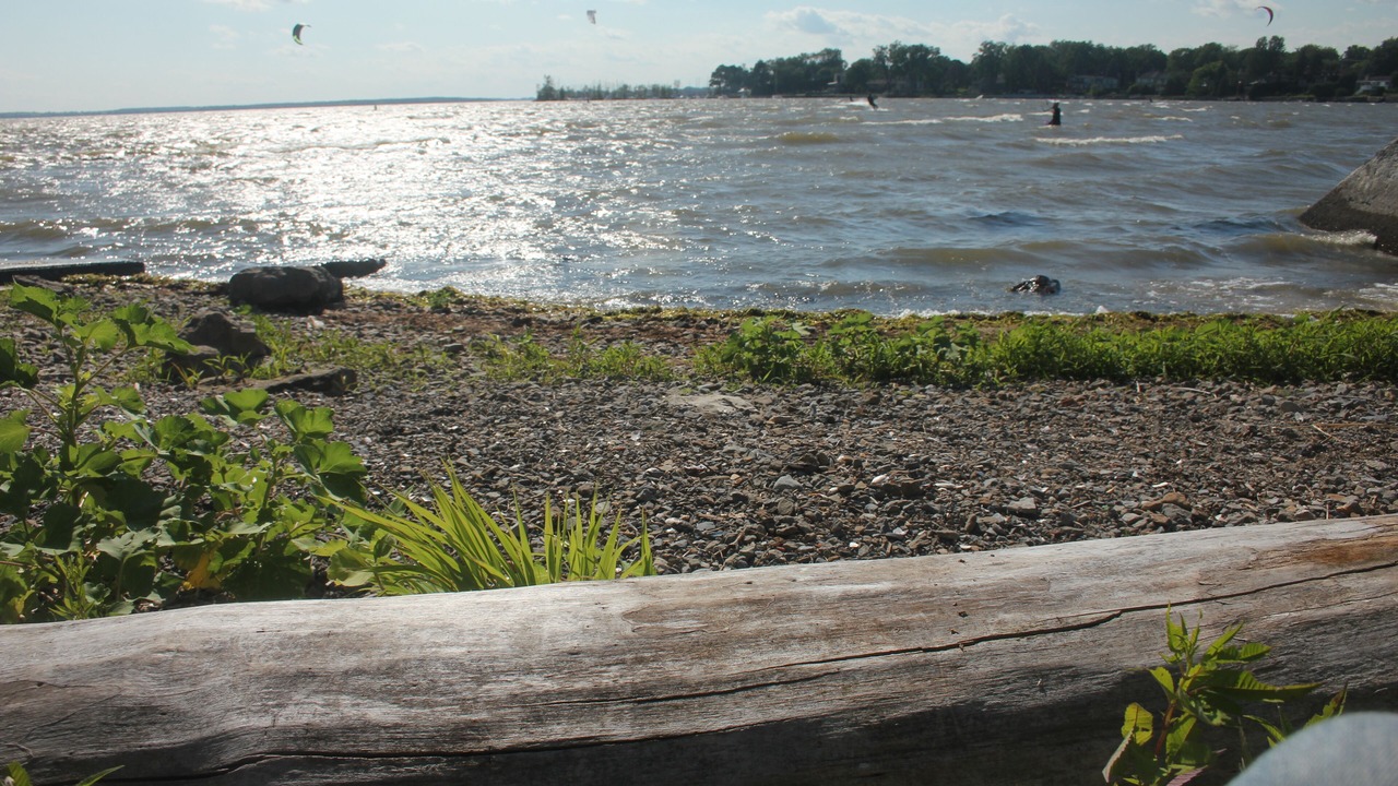 Photo of Others in Pointe Claire