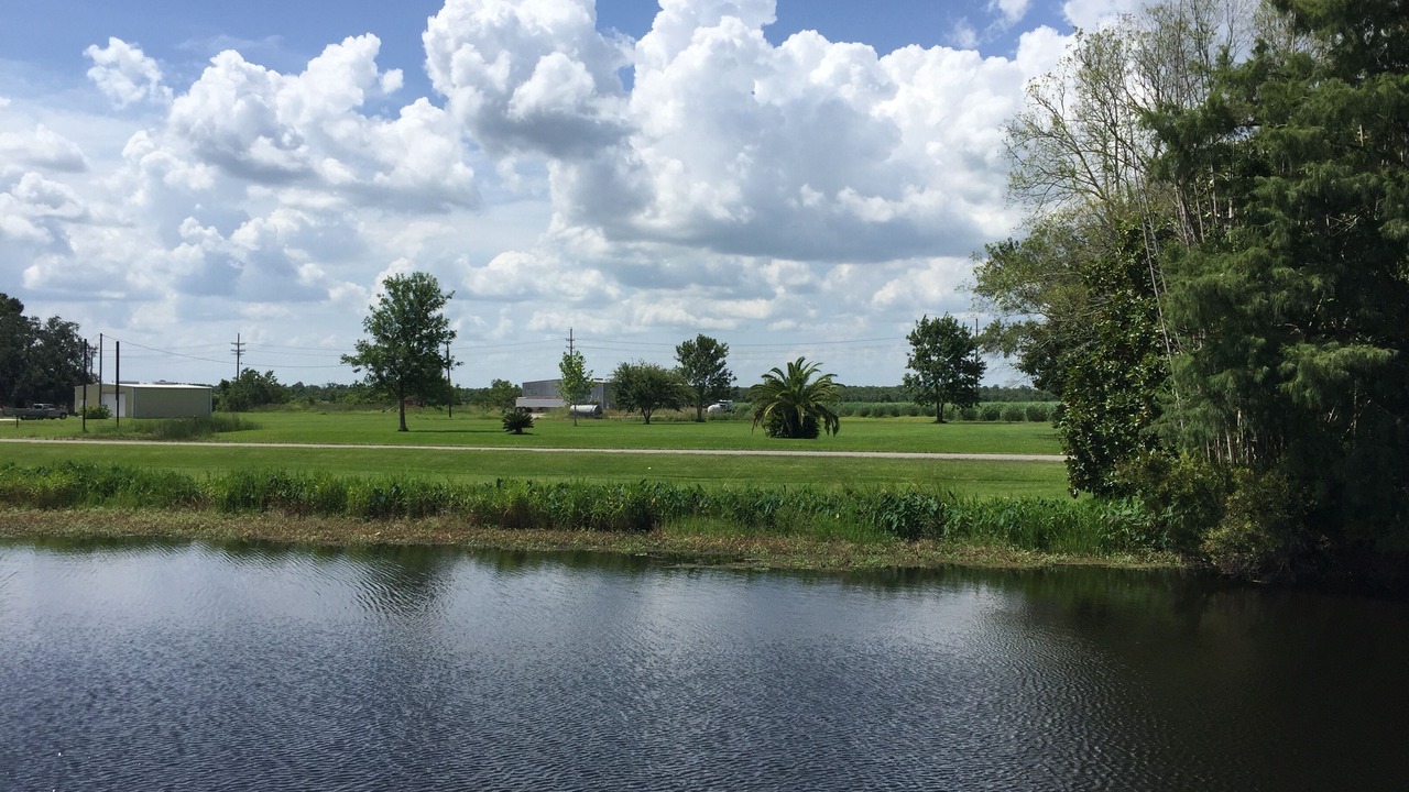 Photo of Others in Houma