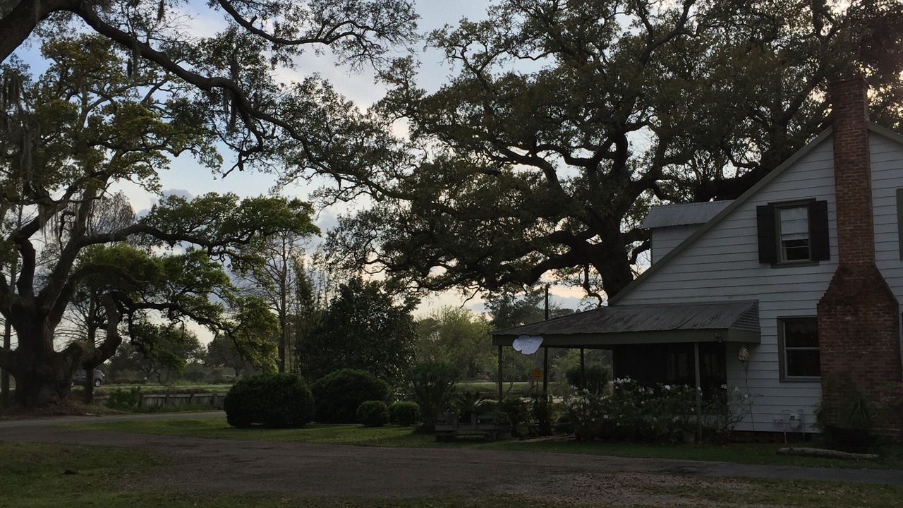 Photo of Outdoor in Houma