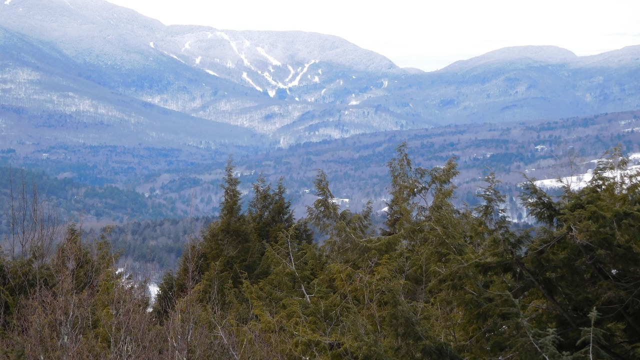 Photo of Others in Waitsfield
