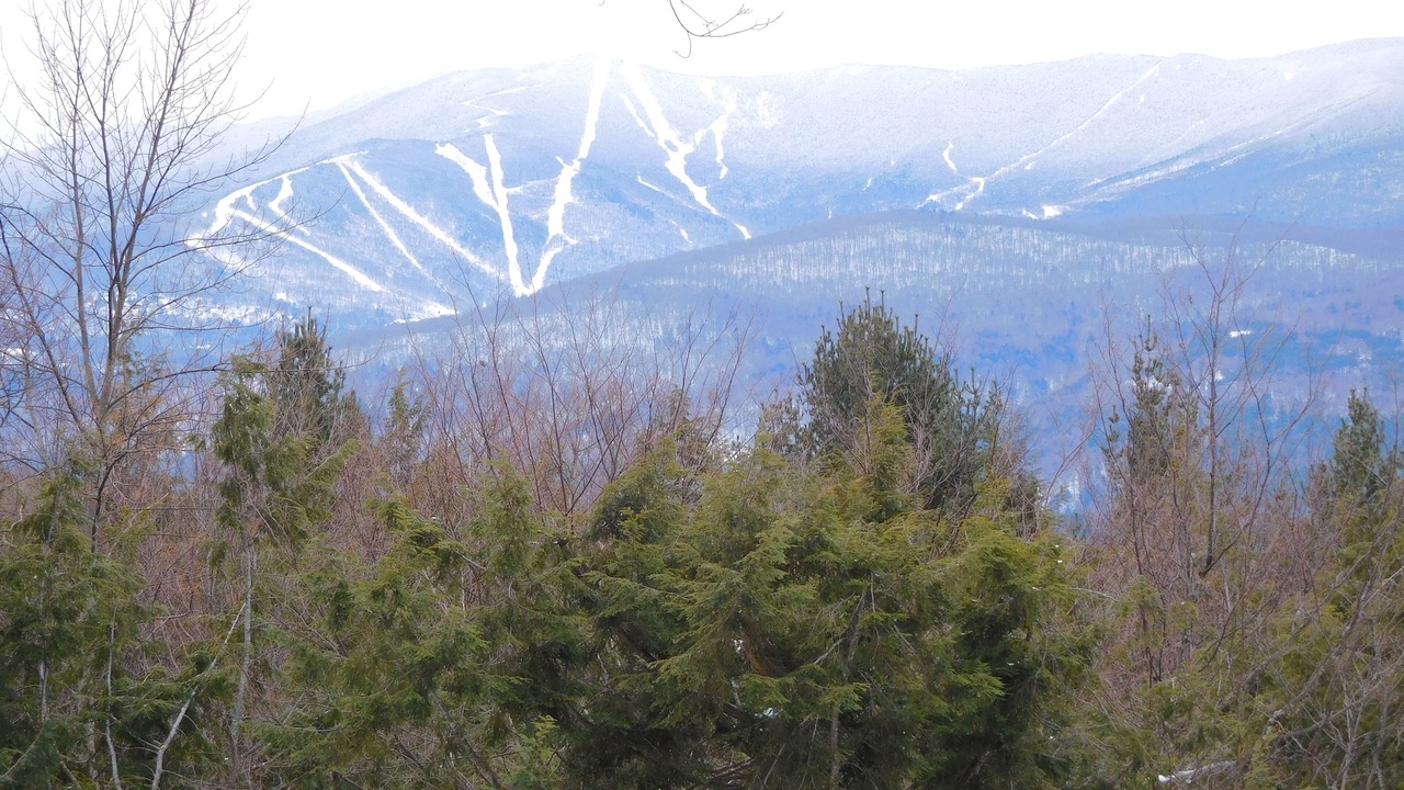 Photo of Others in Waitsfield