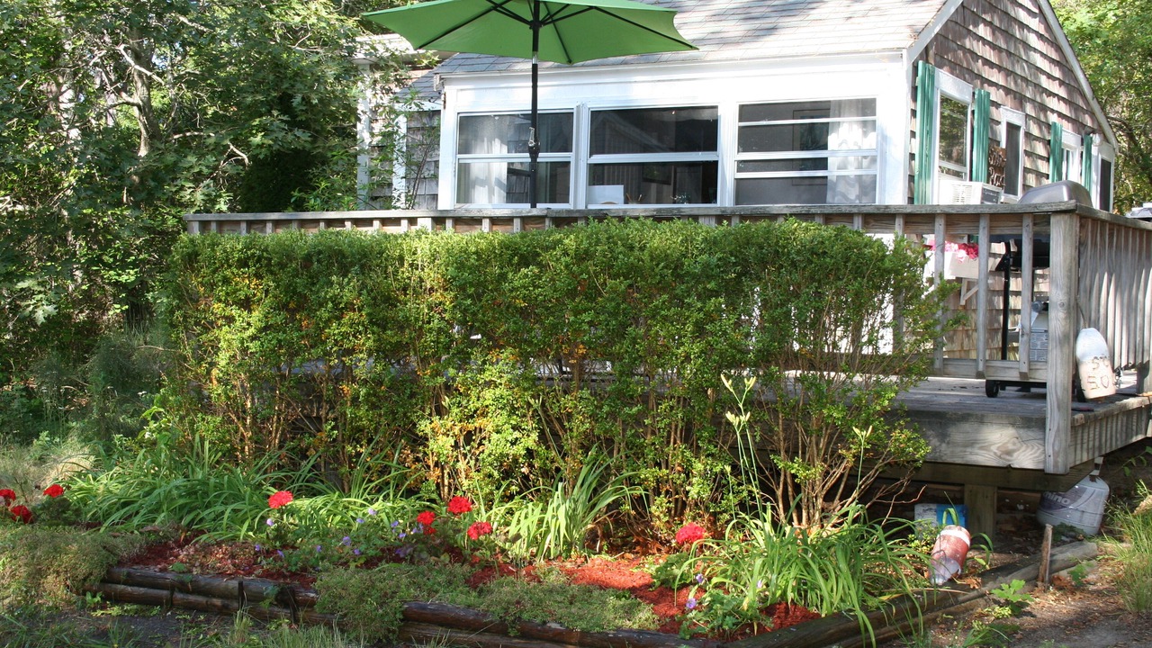 Photo of Others in Wellfleet