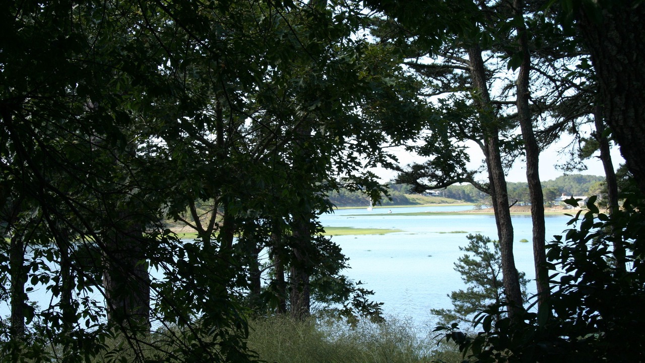 Photo of Others in Wellfleet