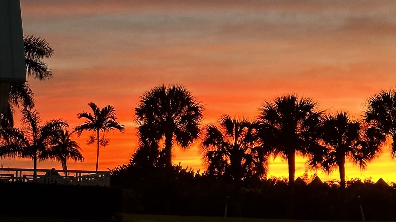 Photo of Others in Marco Island