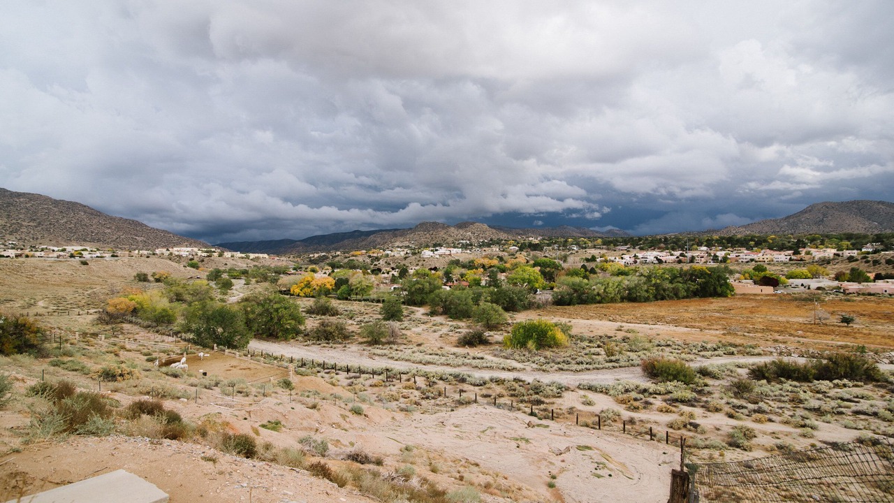 Photo of Others in Albuquerque