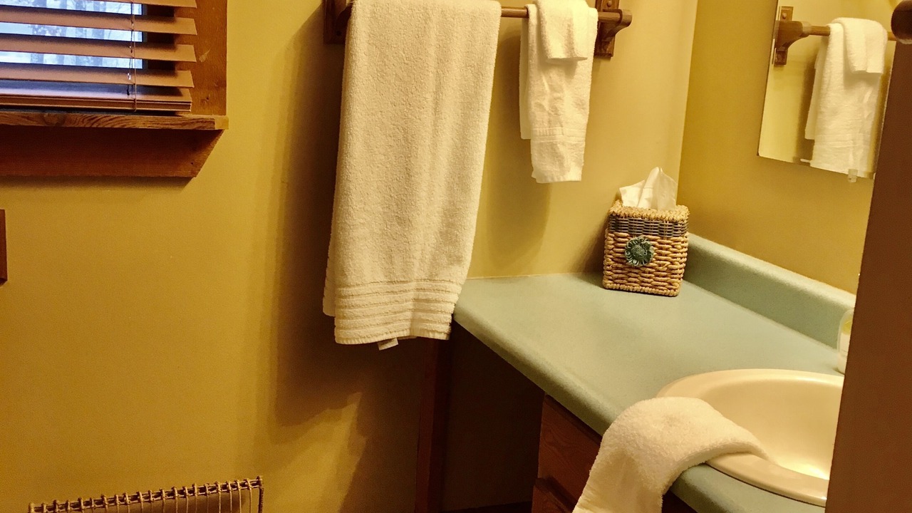 Photo of Bathroom in Interlochen