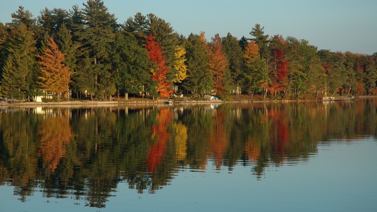Photo of Outdoor in Interlochen