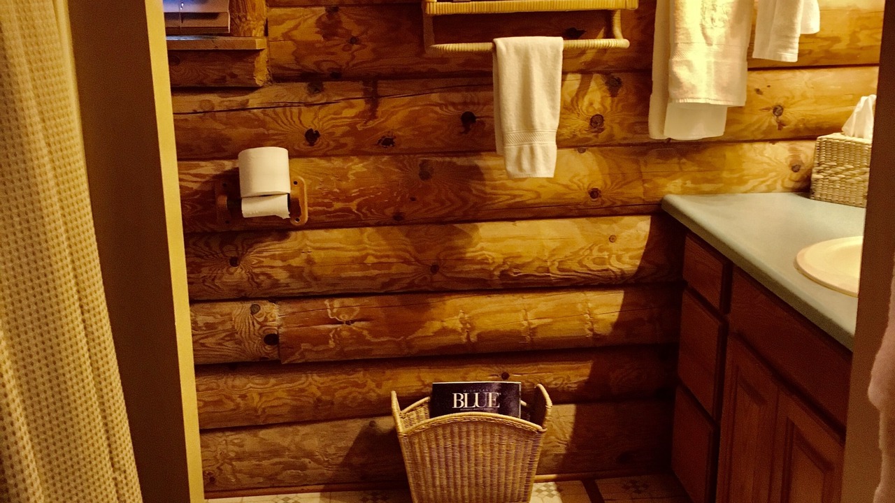 Photo of Bathroom in Interlochen