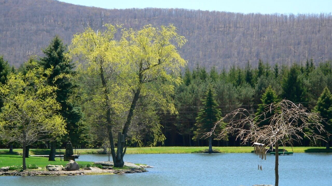 Photo of Outdoor in Margaretville