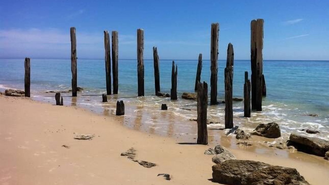 Photo of Others in Port Willunga